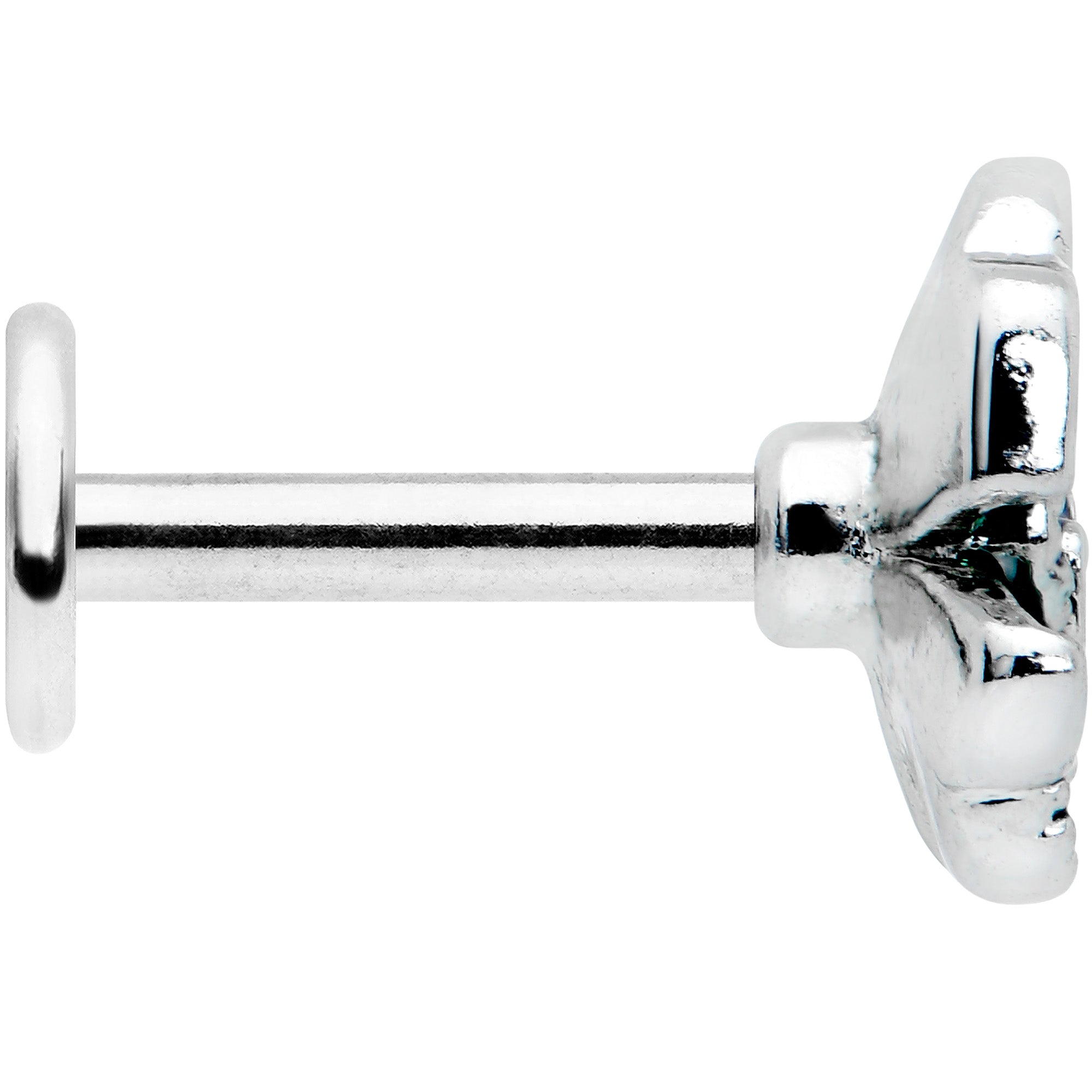 BodyCandy 16G 1/4 Spring Flower Green Blue Labret Monroe Tragus — lifestyle context