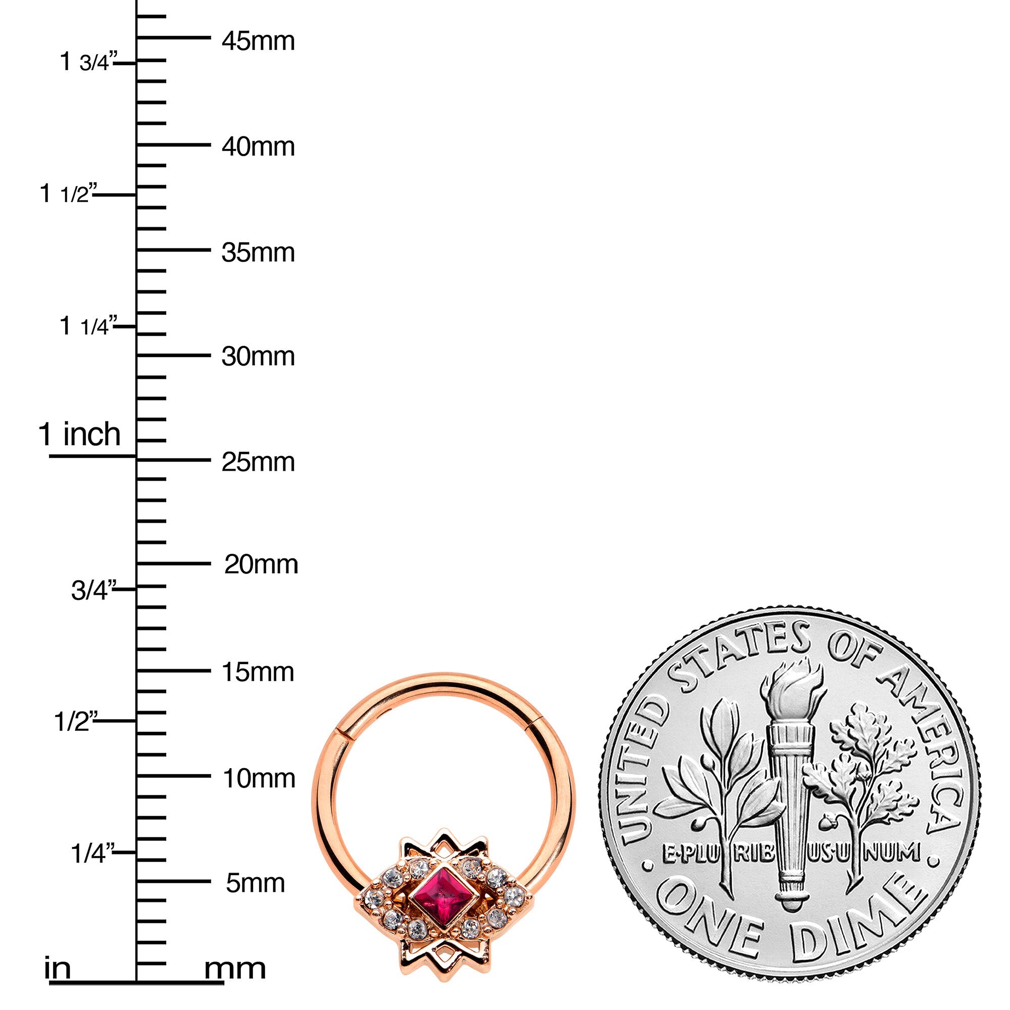 BodyCandy 16G 3/8 Red Gem Rose Gold Tone Octogram Star Hinged Circular Ring — lifestyle context