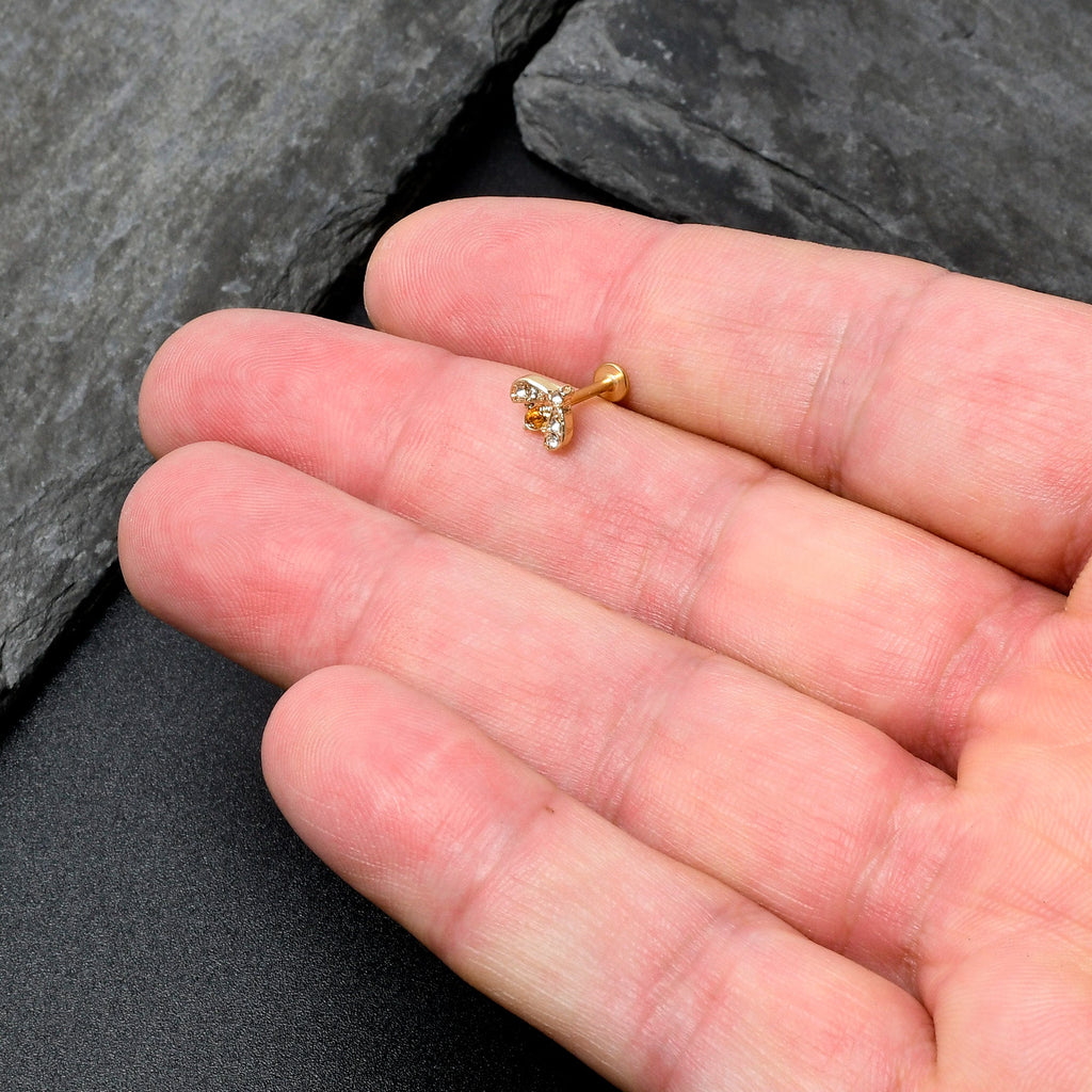 BodyCandy 16G 5/16 Yellow Gem Gold Tone Fashion Winged Bug Labret Monroe Tragus — in-use photo