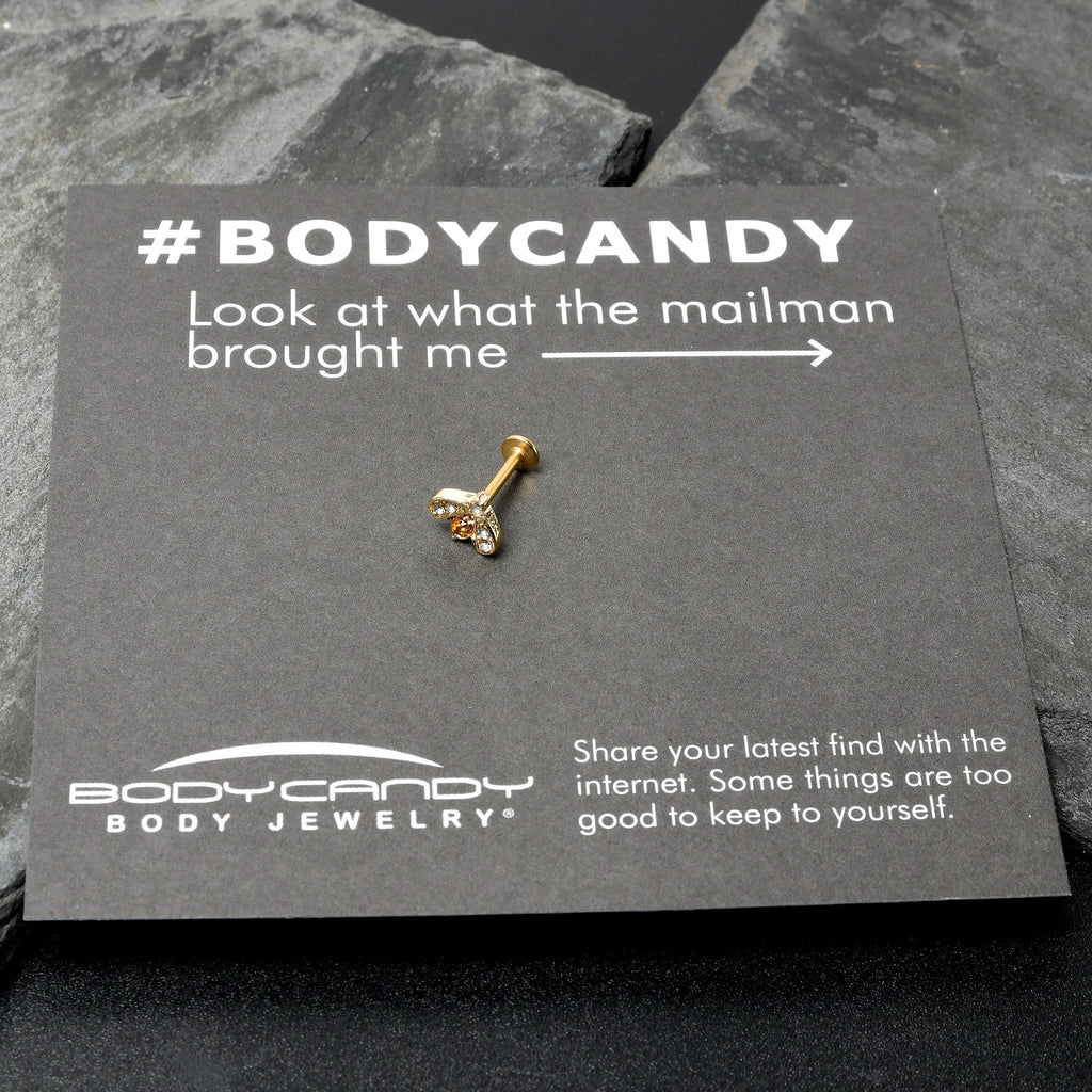 BodyCandy 16G 5/16 Yellow Gem Gold Tone Fashion Winged Bug Labret Monroe Tragus — size reference