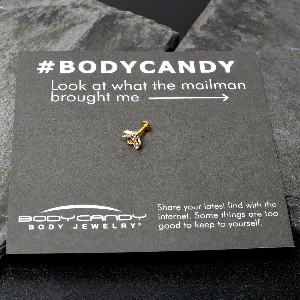 BodyCandy 16G 1/4 White Yellow Gem Gold Tone Fashion Winged Bug Labret — size reference