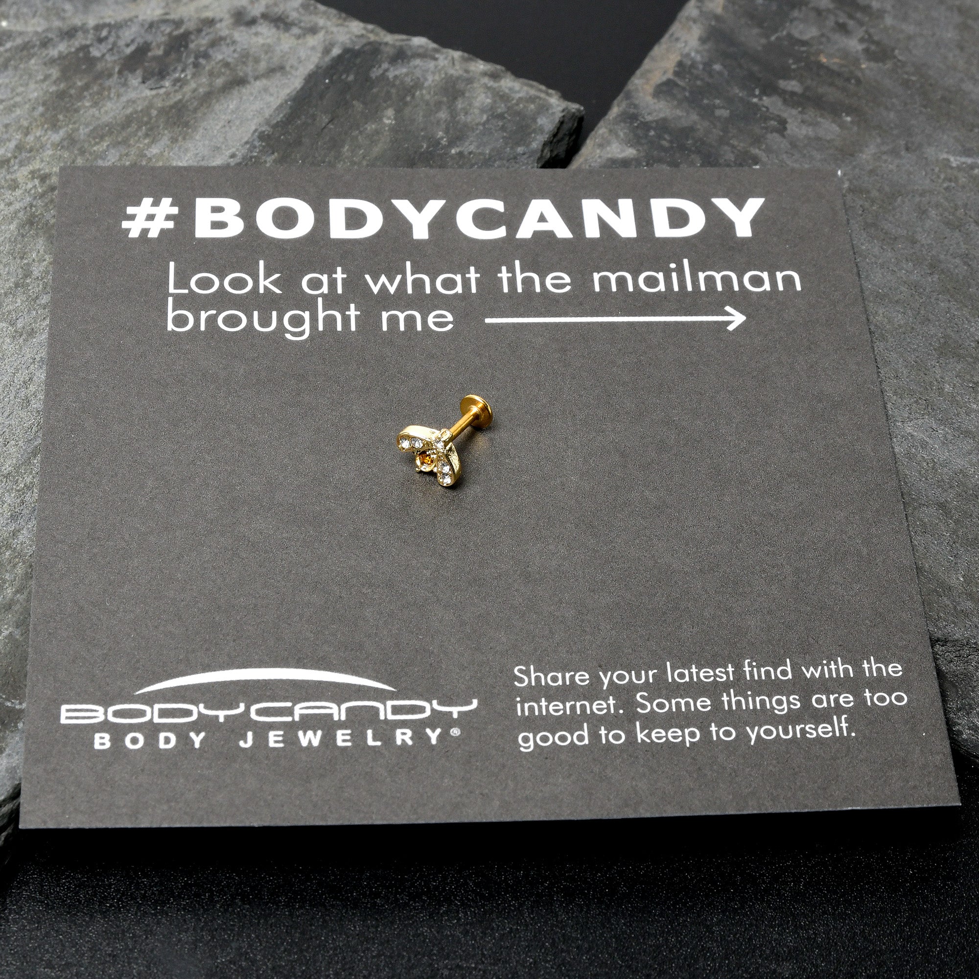 BodyCandy 16G 1/4 White Yellow Gem Gold Tone Fashion Winged Bug Labret — size reference