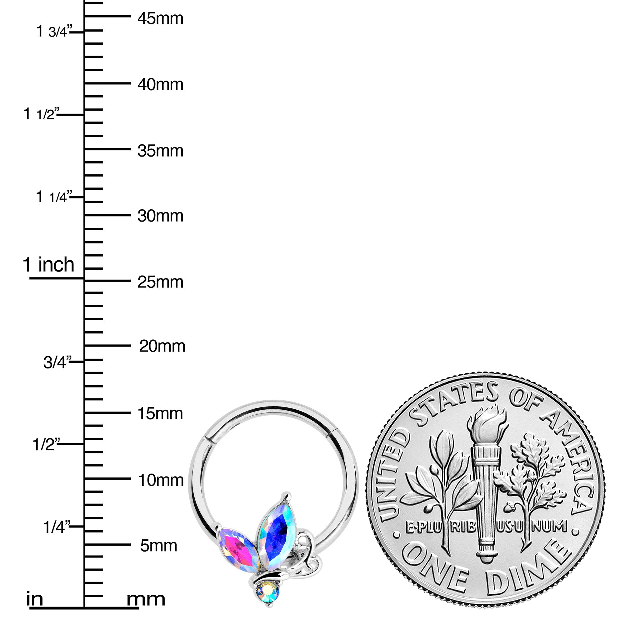 BodyCandy 16G 3/8 Aurora CZ Gem Fleur de Lis Butterfly Hinged Segment Ring — lifestyle context