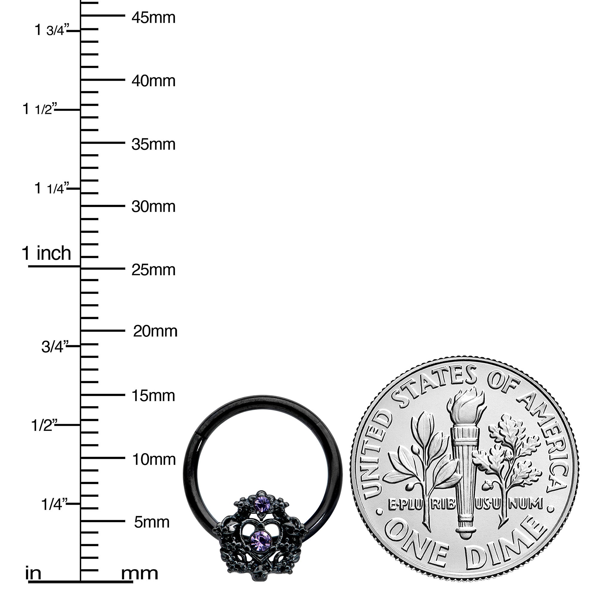 BodyCandy 16G 3/8 Purple Gem Black Regal Crown Hinged Segment Ring — lifestyle context