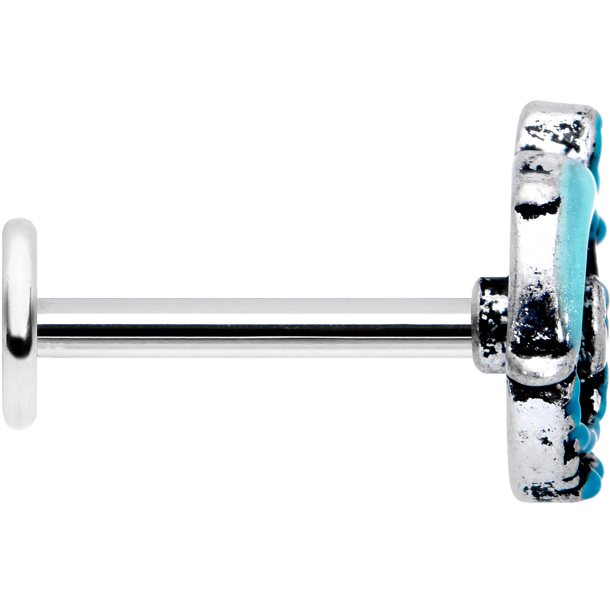 BodyCandy 16G 5/16 Leaping Blue Dolphin Labret Monroe Tragus — lifestyle context