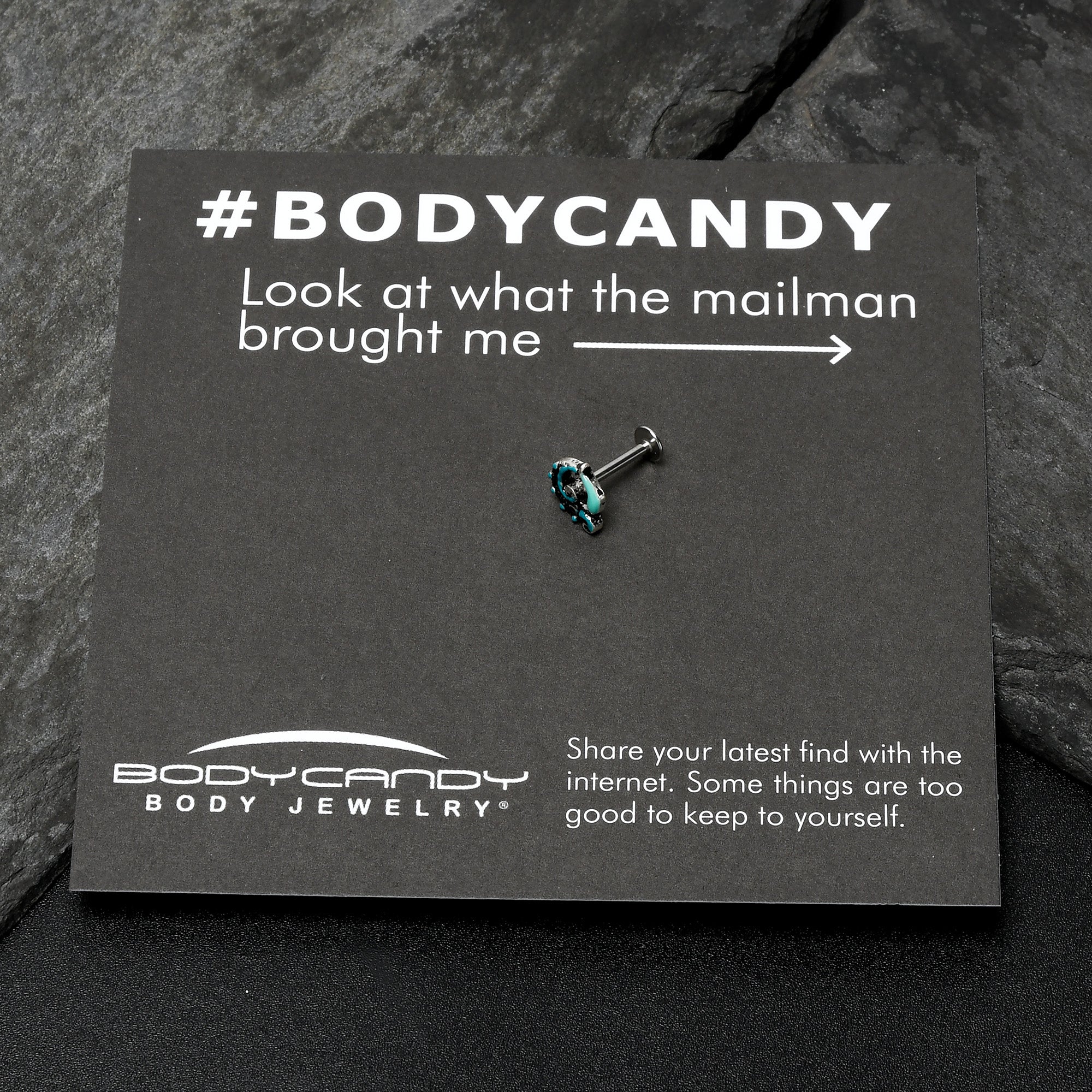 BodyCandy 16G 5/16 Leaping Blue Dolphin Labret Monroe Tragus — size reference