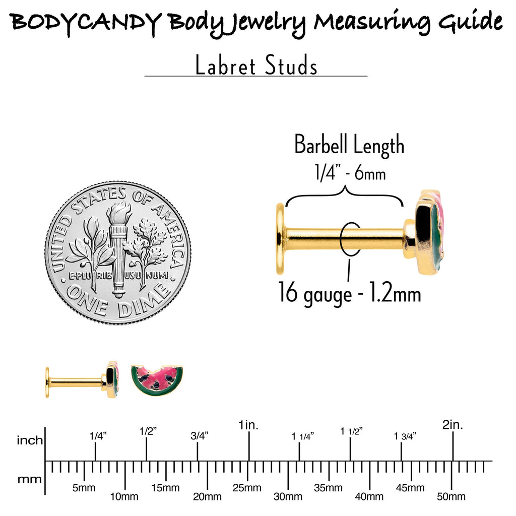 BodyCandy 16G 1/4 Gold Tone Watermelon Bite Labret — back view
