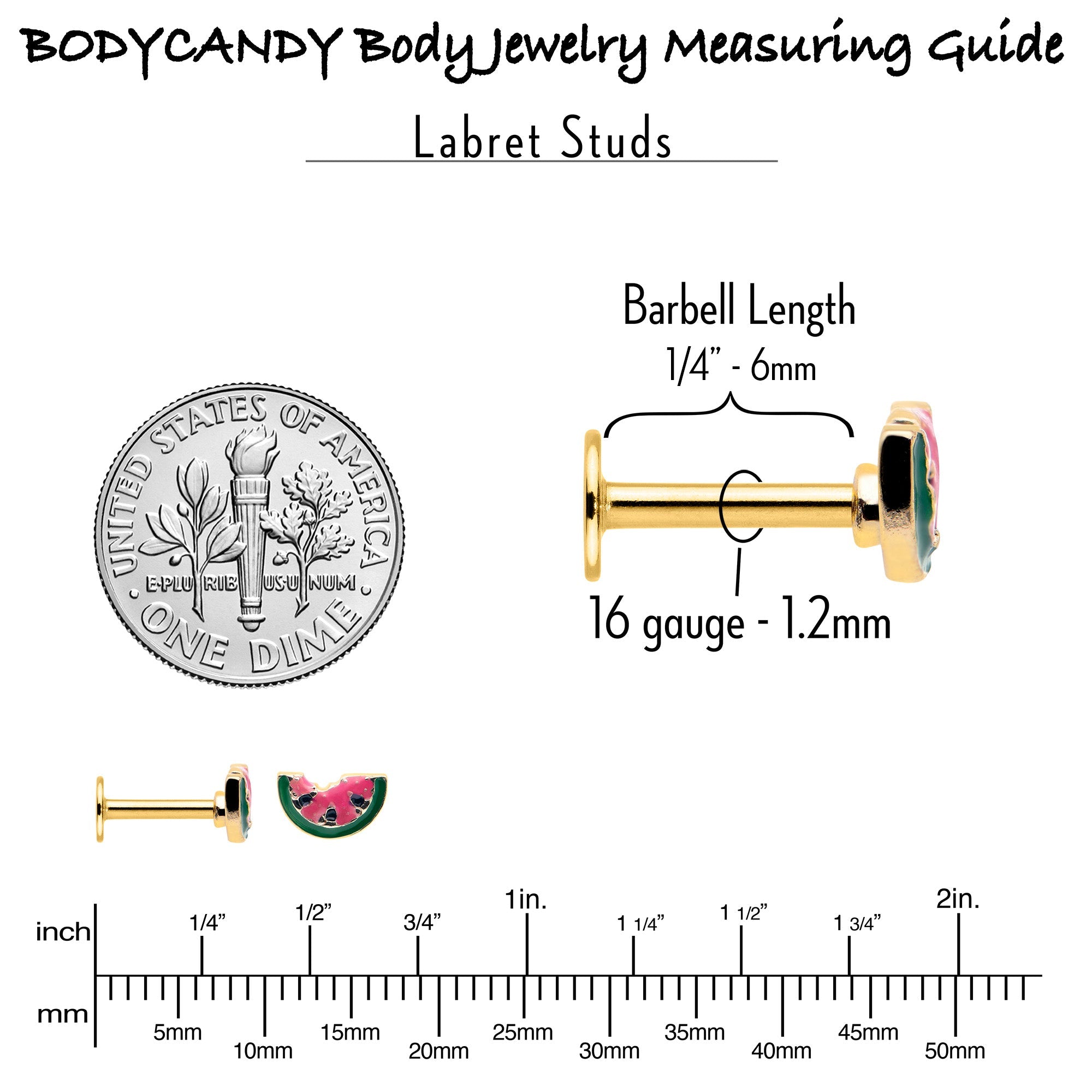BodyCandy 16G 1/4 Gold Tone Watermelon Bite Labret — back view