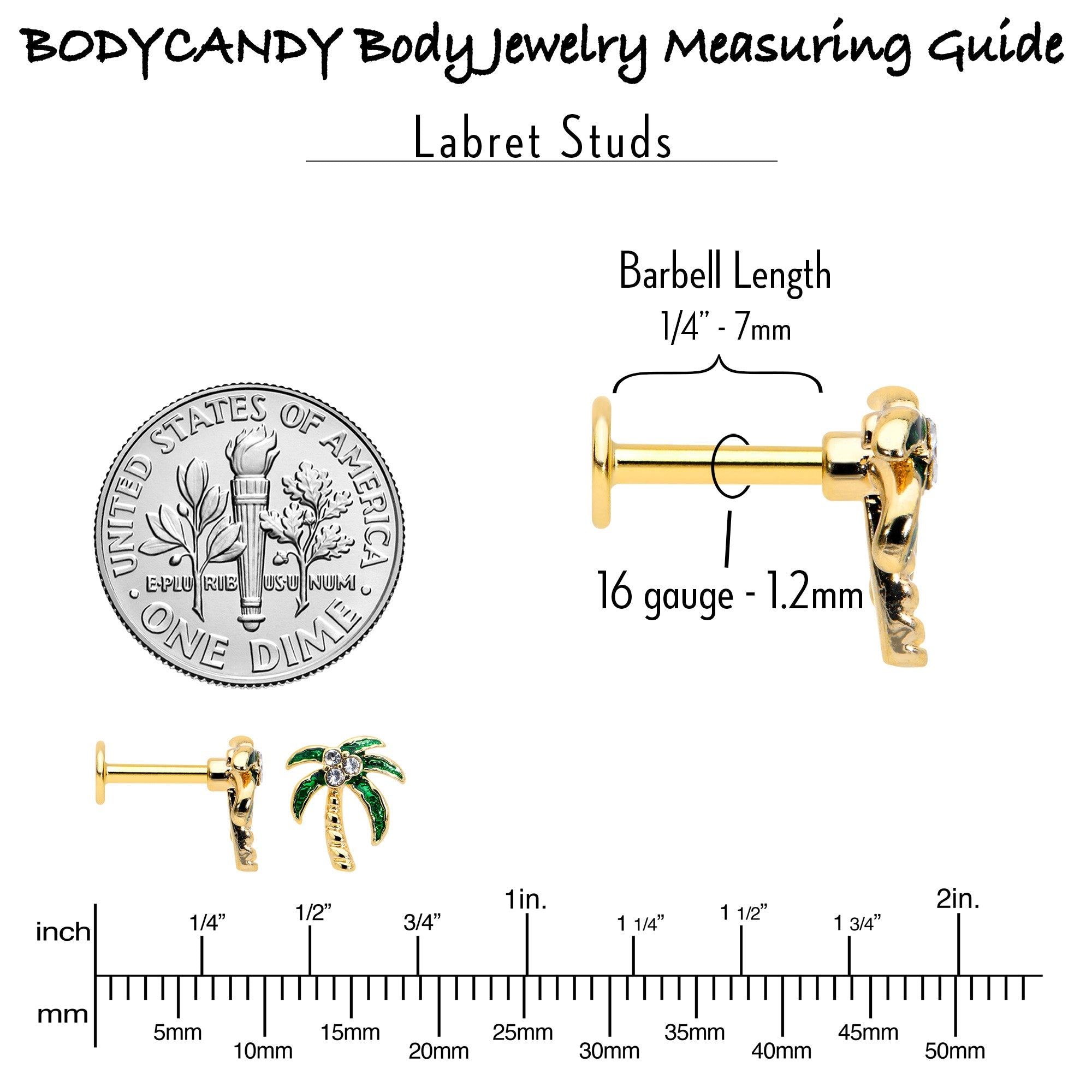 BodyCandy 16G 1/4 Clear Gem Gold Tone Palm Tree Style Labret — in-use photo