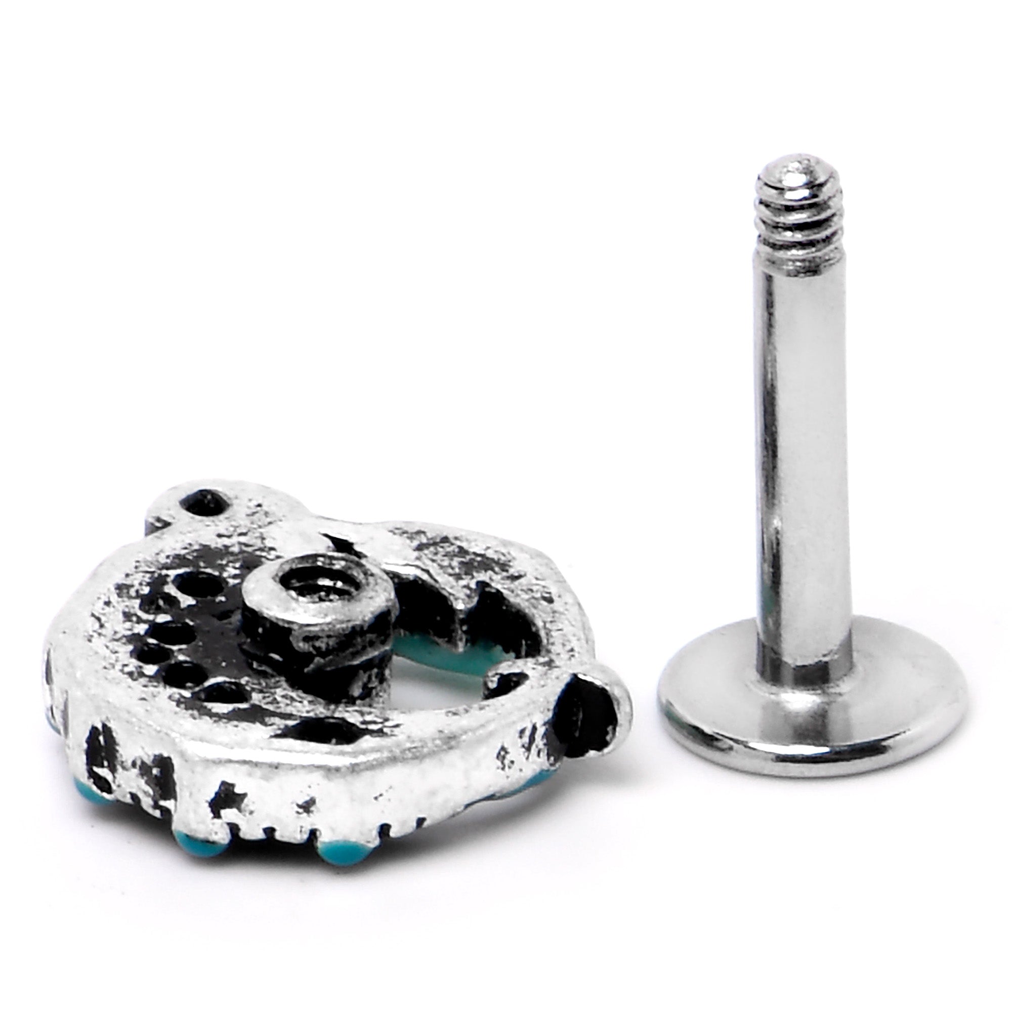 BodyCandy 16G 1/4 Leaping Blue Dolphin Labret — alternative angle