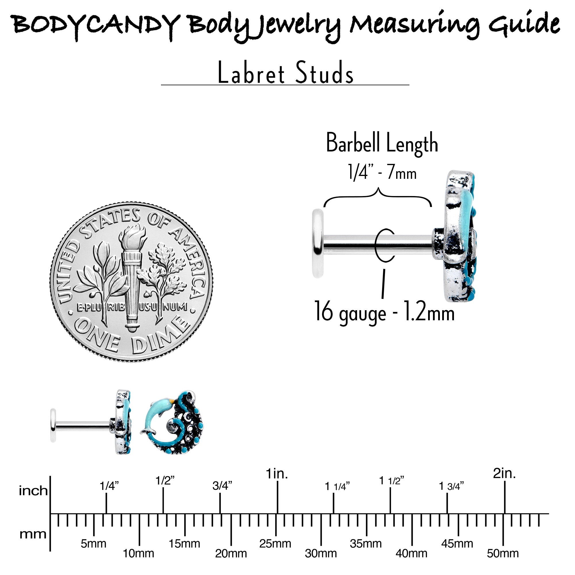 BodyCandy 16G 1/4 Leaping Blue Dolphin Labret — in-use photo