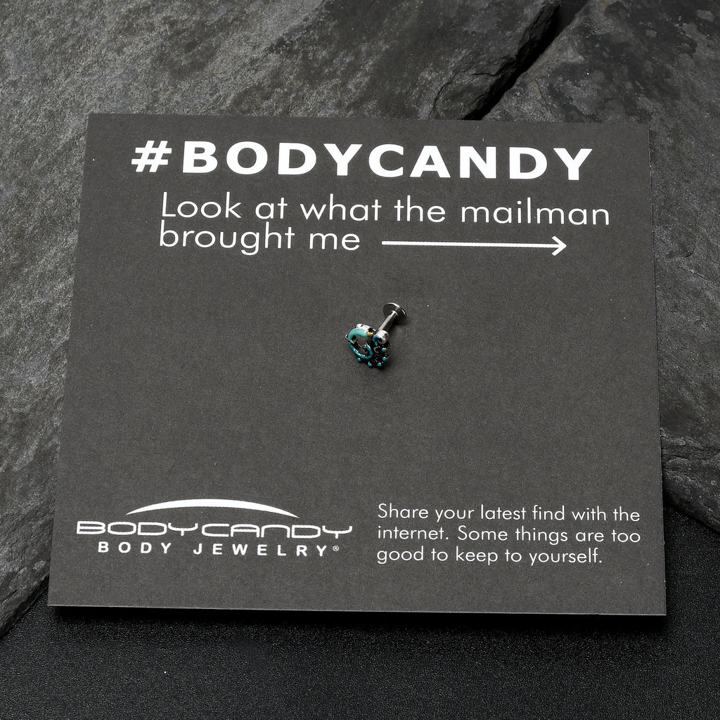 BodyCandy 16G 1/4 Leaping Blue Dolphin Labret — size reference