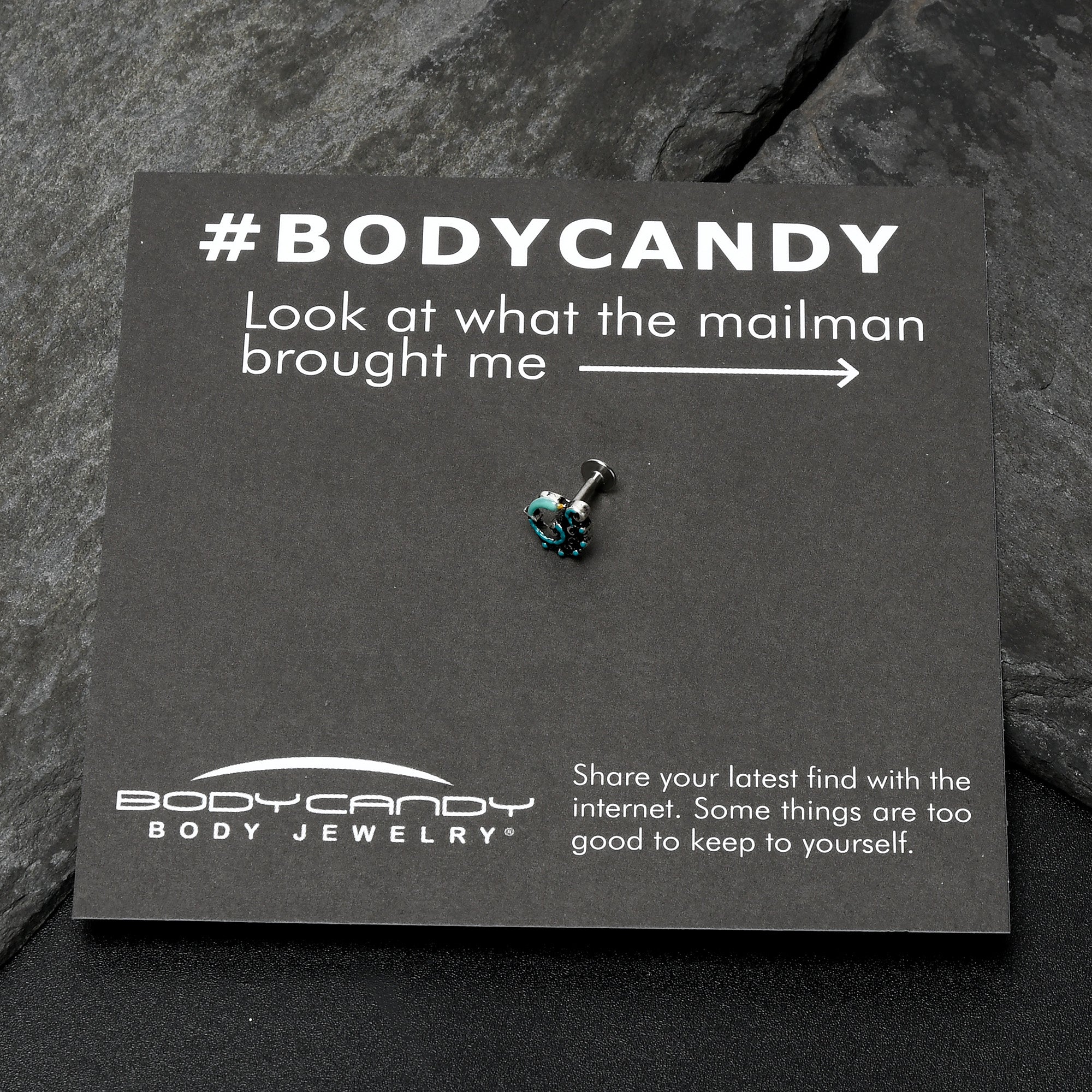 BodyCandy 16G 1/4 Leaping Blue Dolphin Labret — size reference
