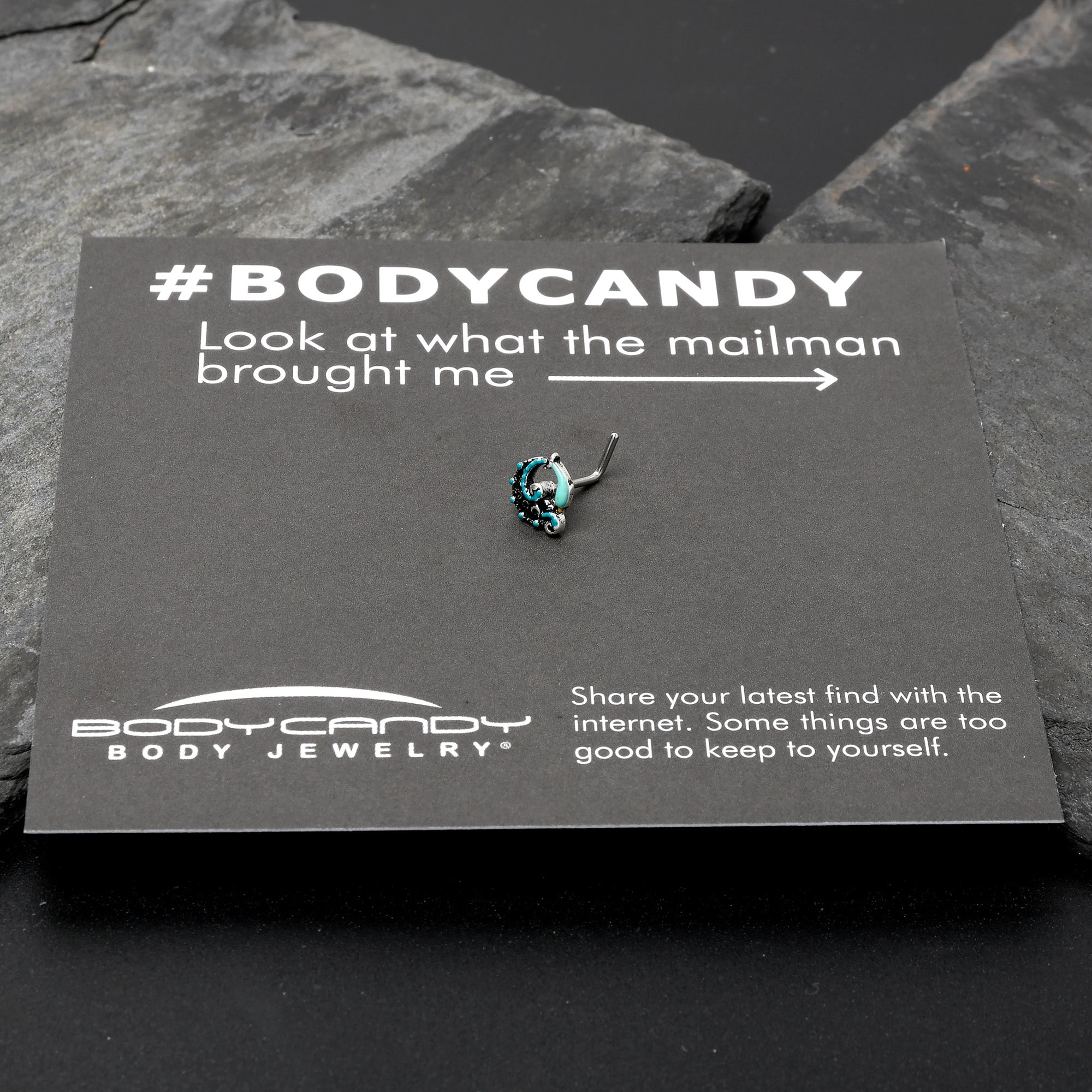 BodyCandy 20G 1/4 Leaping Blue Dolphin L Shape Nose Ring — size reference