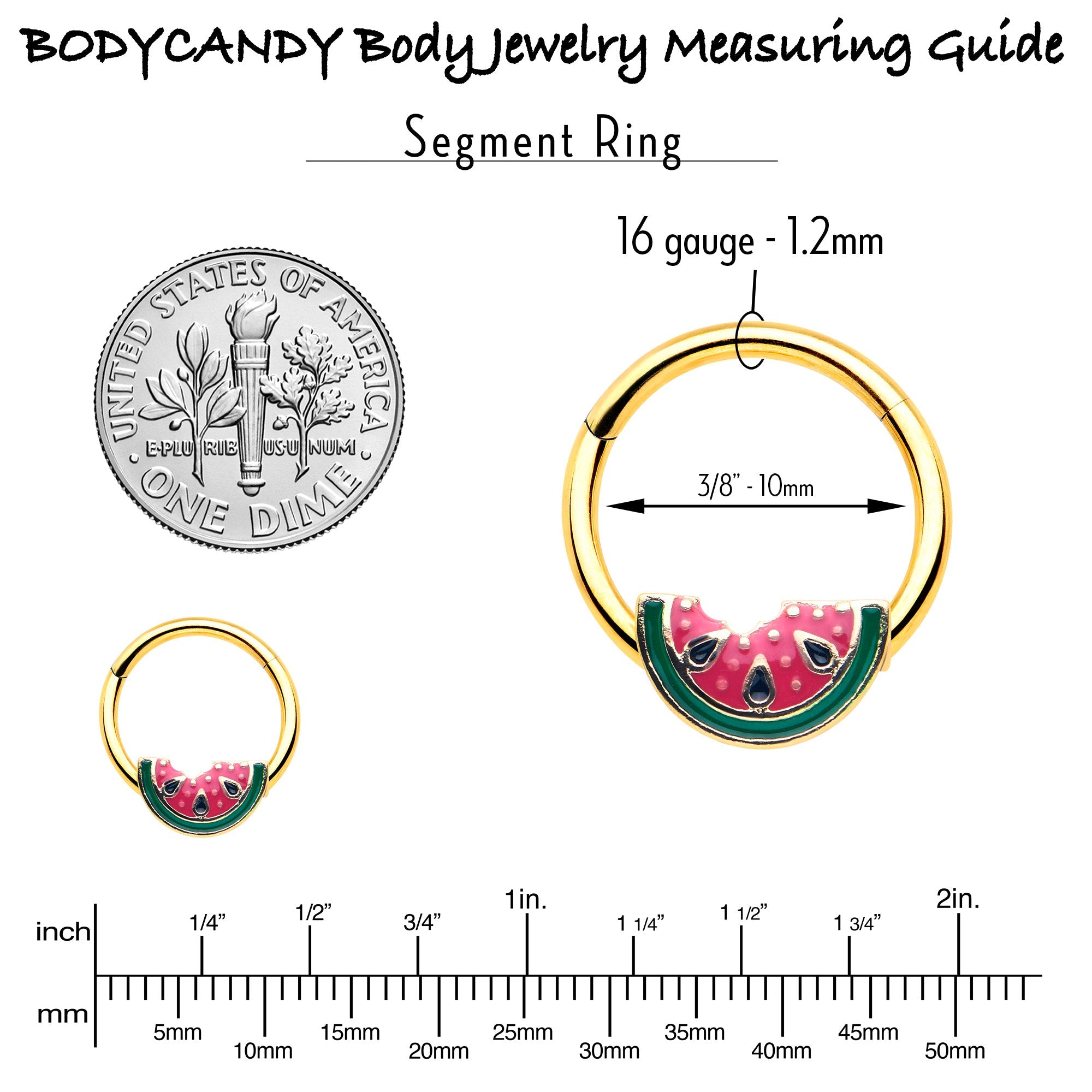 BodyCandy 16G 3/8 Gold Tone Watermelon Bite Hinged Segment Ring — side view