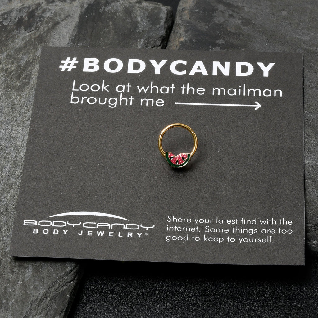 BodyCandy 16G 3/8 Gold Tone Watermelon Bite Hinged Segment Ring — in-use photo