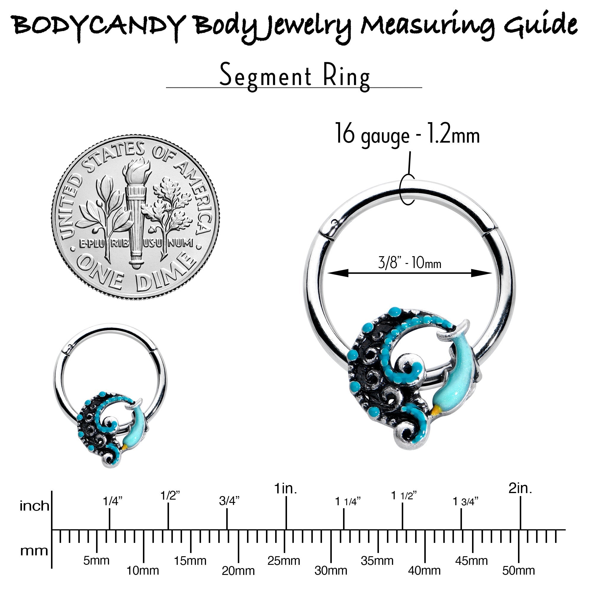 BodyCandy 16G 3/8 Leaping Blue Dolphin Hinged Segment Ring — in-use photo