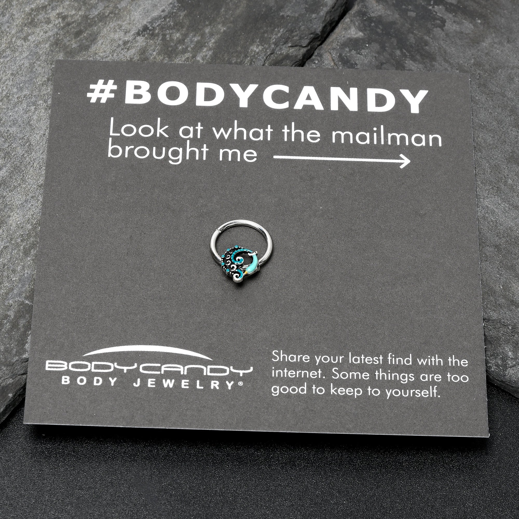 BodyCandy 16G 3/8 Leaping Blue Dolphin Hinged Segment Ring — size reference
