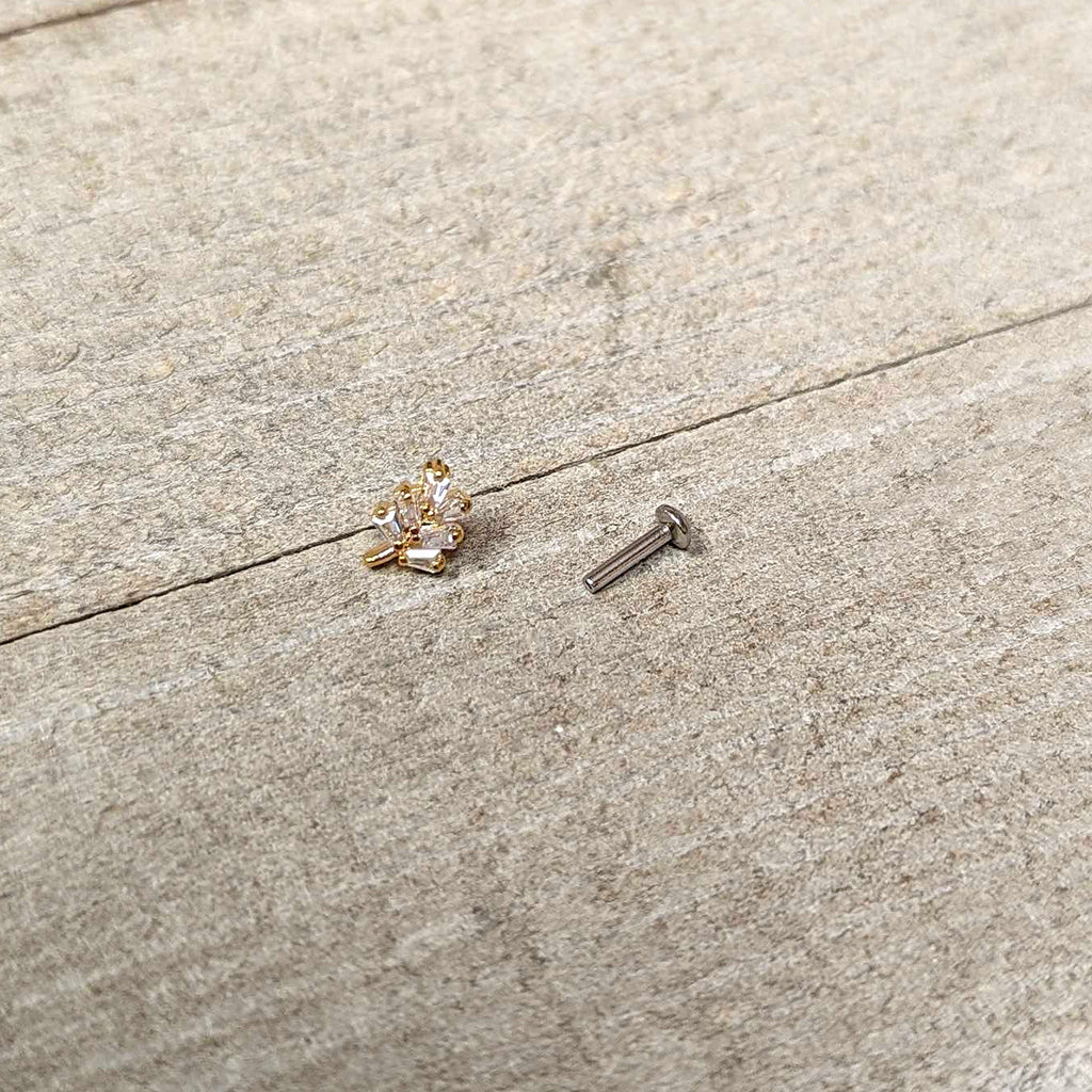 BodyCandy 16G 1/4 Clear CZ Gem Leafy Golden Branch Threadless Labret Tragus — in-use photo