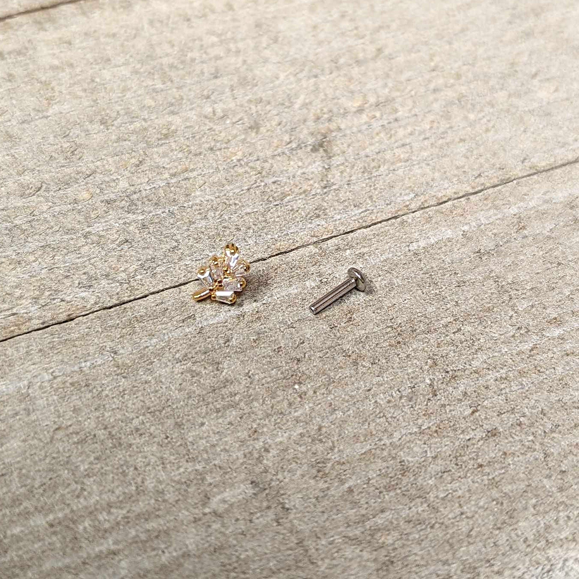 BodyCandy 16G 1/4 Clear CZ Gem Leafy Golden Branch Threadless Labret Tragus — in-use photo