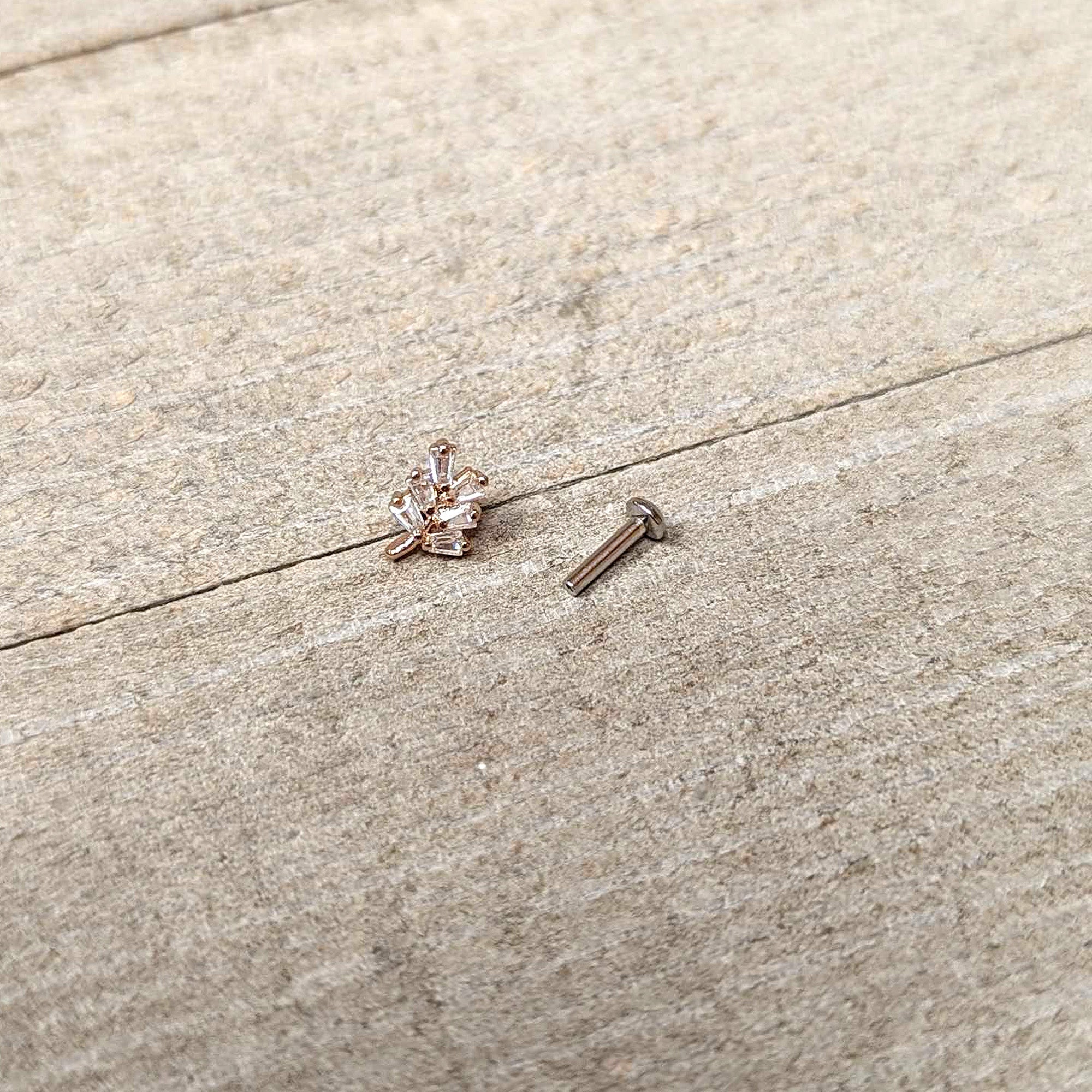 BodyCandy 16G 1/4 Clear CZ Gem Leafy Rosy Branch Threadless Labret Tragus — in-use photo