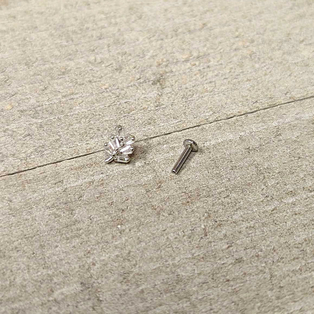 BodyCandy 16G 1/4 Clear CZ Gem Leafy Branch Threadless Labret Tragus — in-use photo