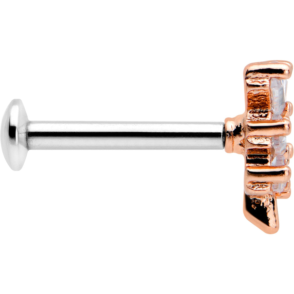 BodyCandy 16G 5/16 Clear CZ Gem Leafy Rosy Branch Threadless Labret Tragus — lifestyle context