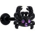 BodyCandy 16G 5/16 Purple Gem Black Chic Crab Labret Monroe Tragus — main product shot