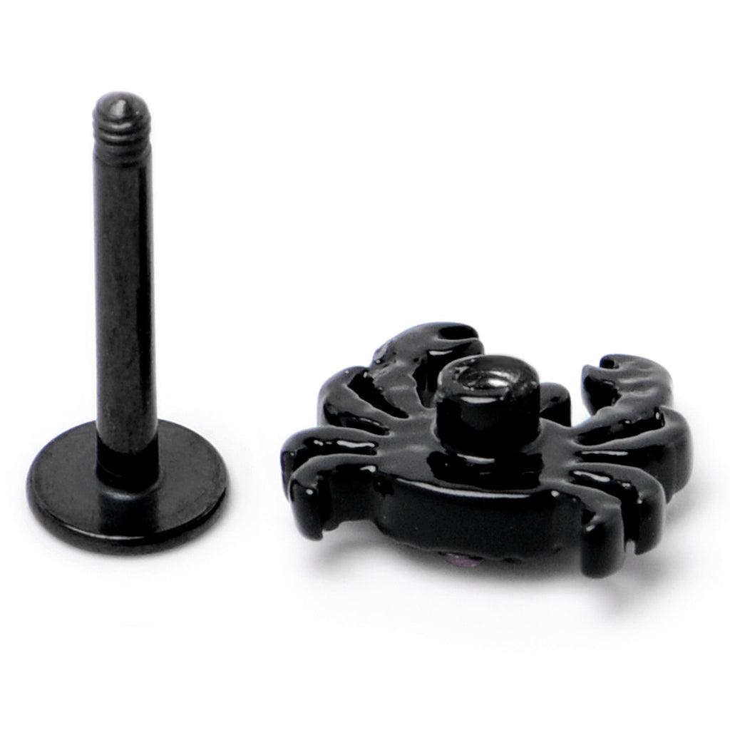 BodyCandy 16G 5/16 Purple Gem Black Chic Crab Labret Monroe Tragus — alternative angle