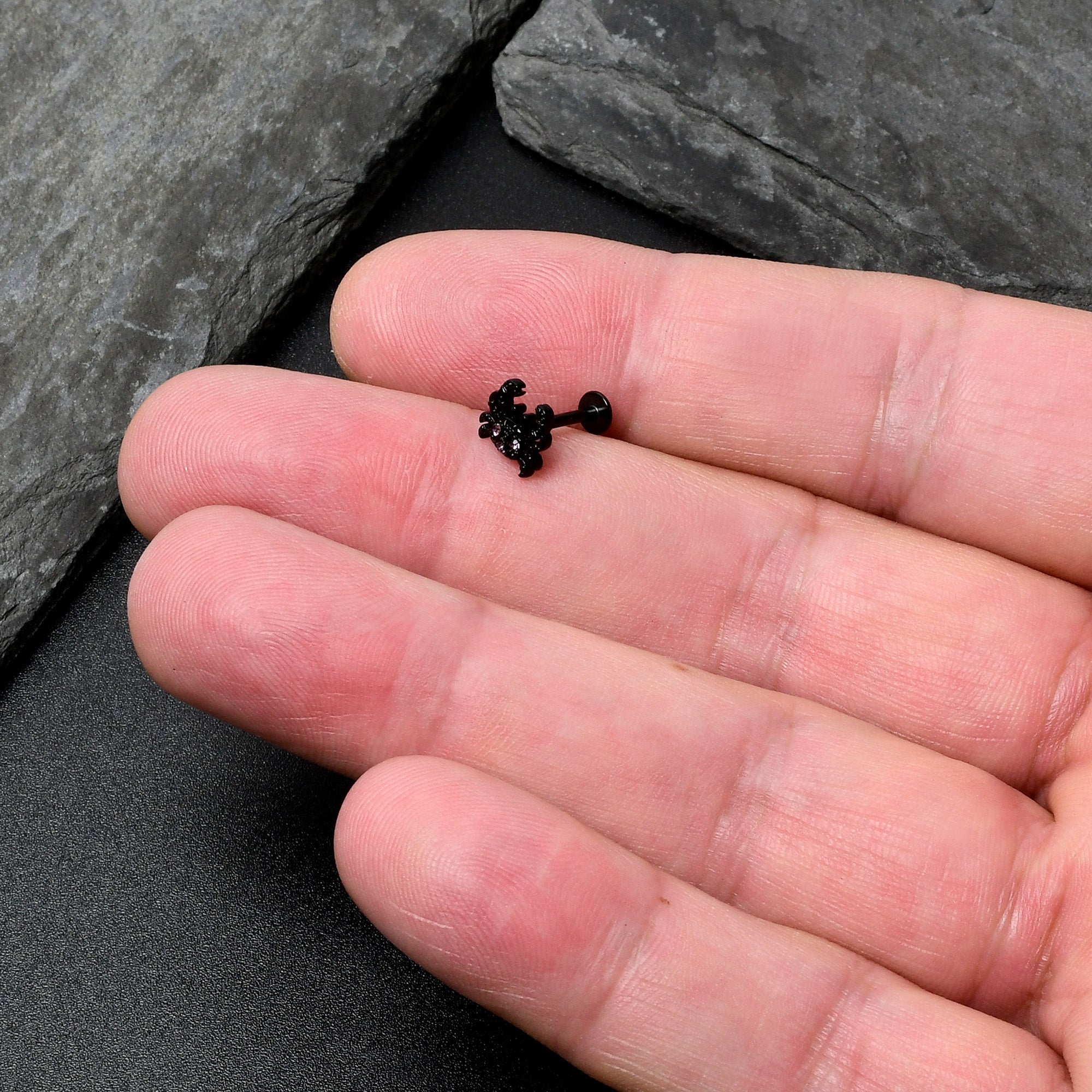 BodyCandy 16G 5/16 Purple Gem Black Chic Crab Labret Monroe Tragus — in-use photo