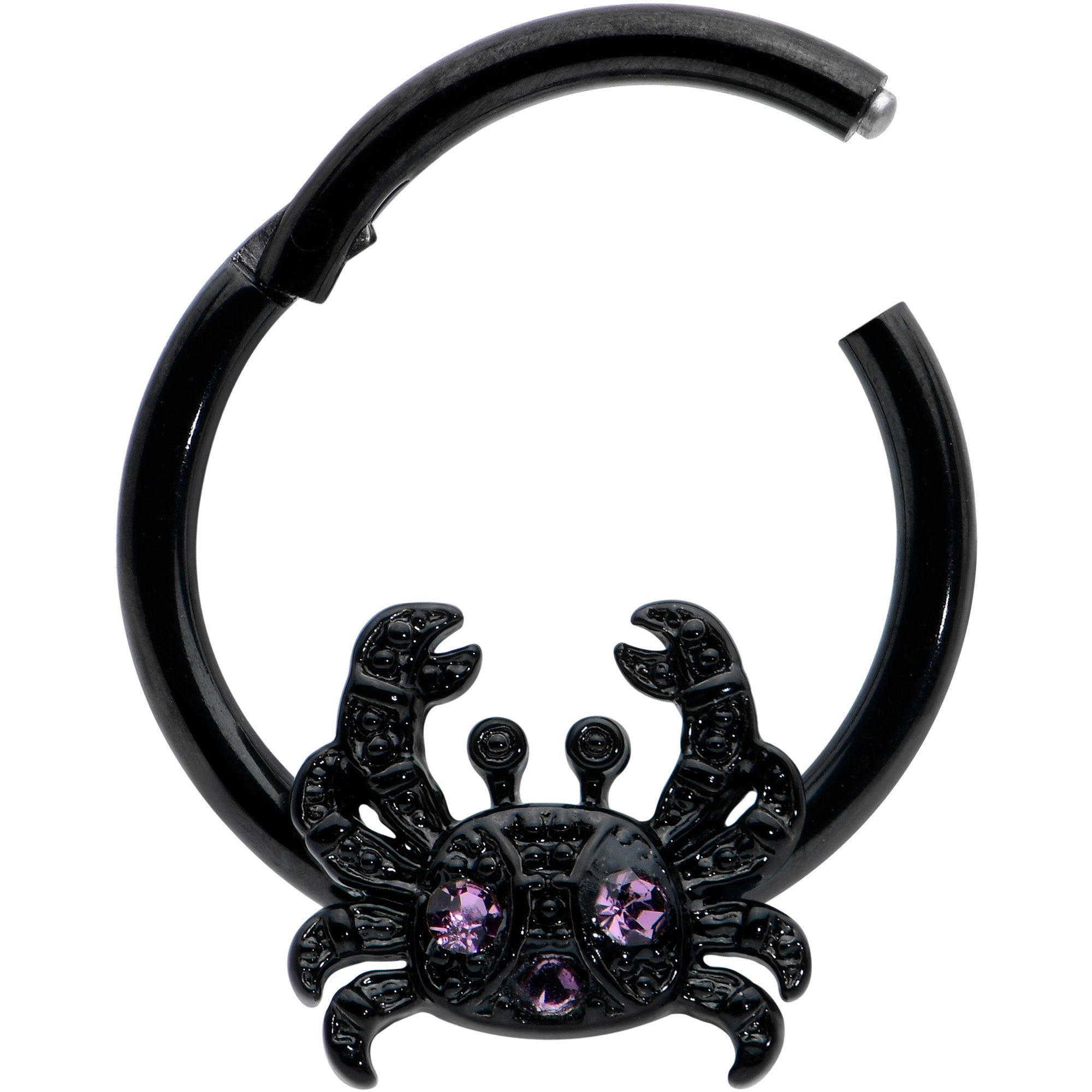 BodyCandy 16G 3/8 Purple Gem Black Chic Crab Hinged Segment Ring — detail close-up