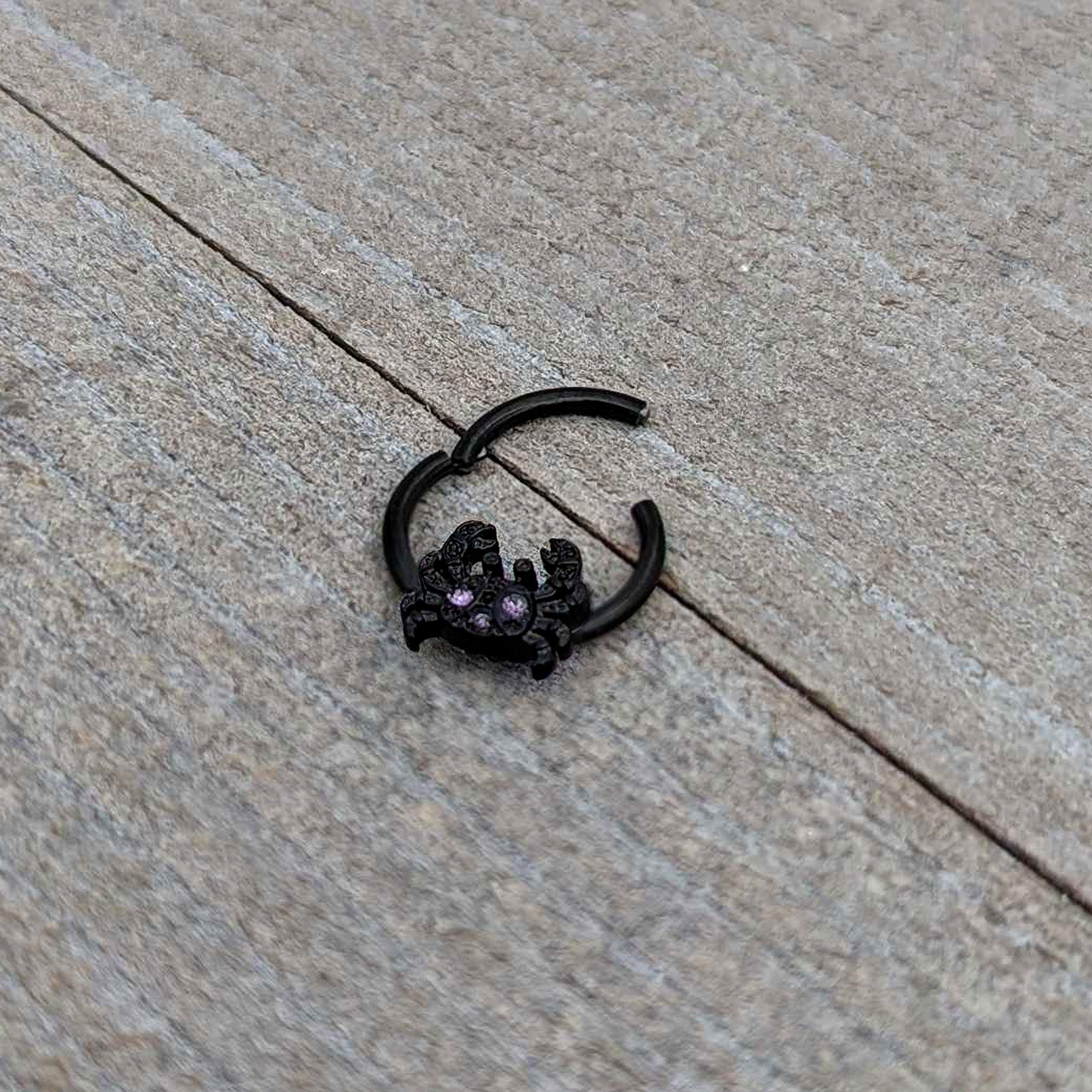 BodyCandy 16G 3/8 Purple Gem Black Chic Crab Hinged Segment Ring — in-use photo