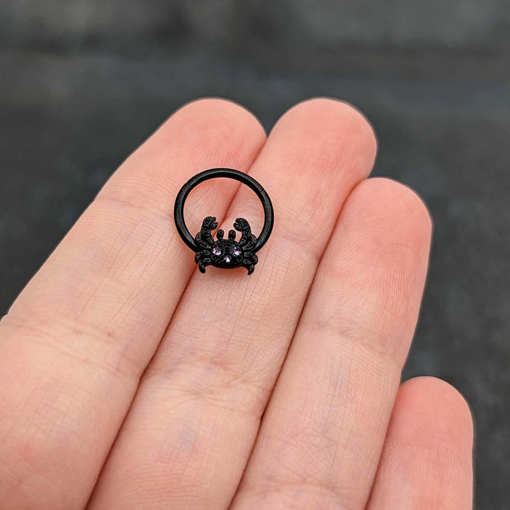 BodyCandy 16G 3/8 Purple Gem Black Chic Crab Hinged Segment Ring — size reference