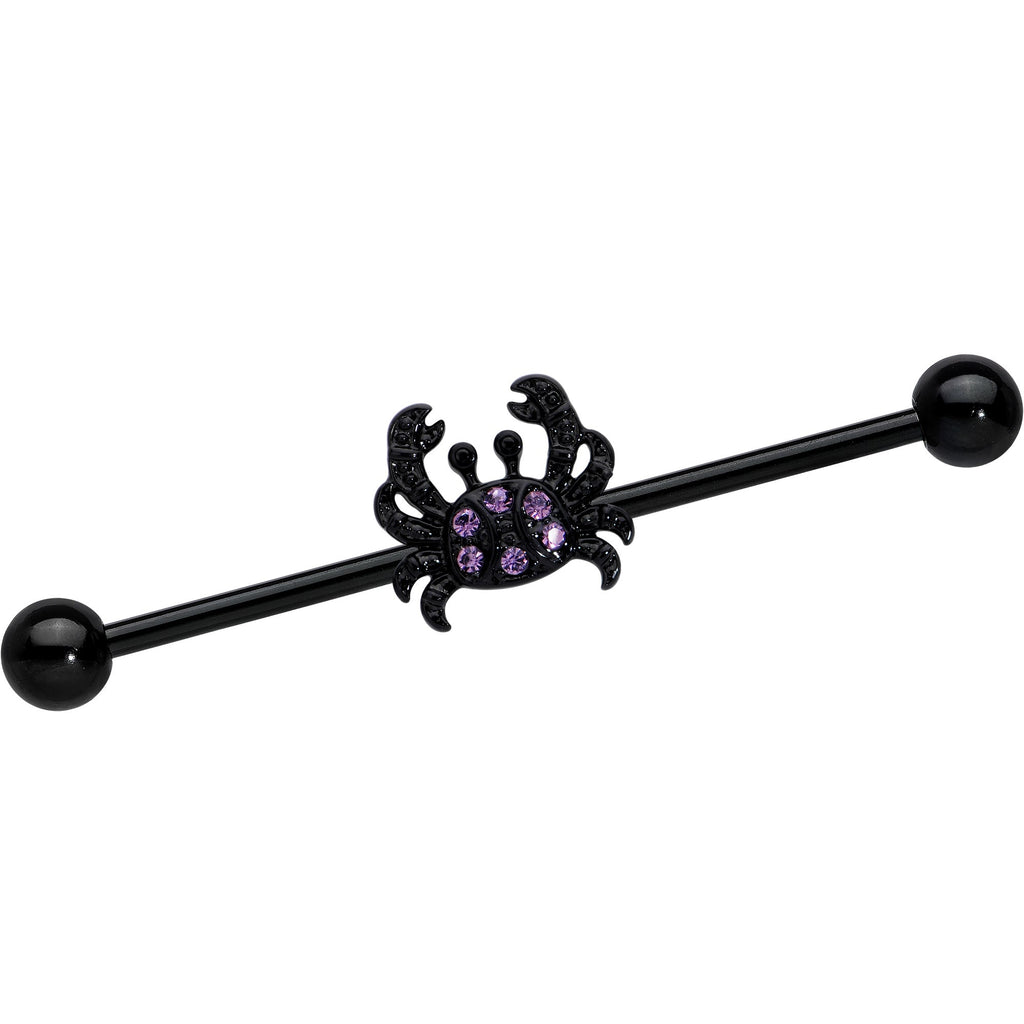 BodyCandy 14G Purple Gem Black Chic Crab Industrial Barbell 38mm — main product shot