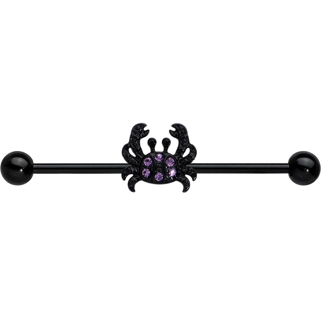 BodyCandy 14G Purple Gem Black Chic Crab Industrial Barbell 38mm — detail close-up