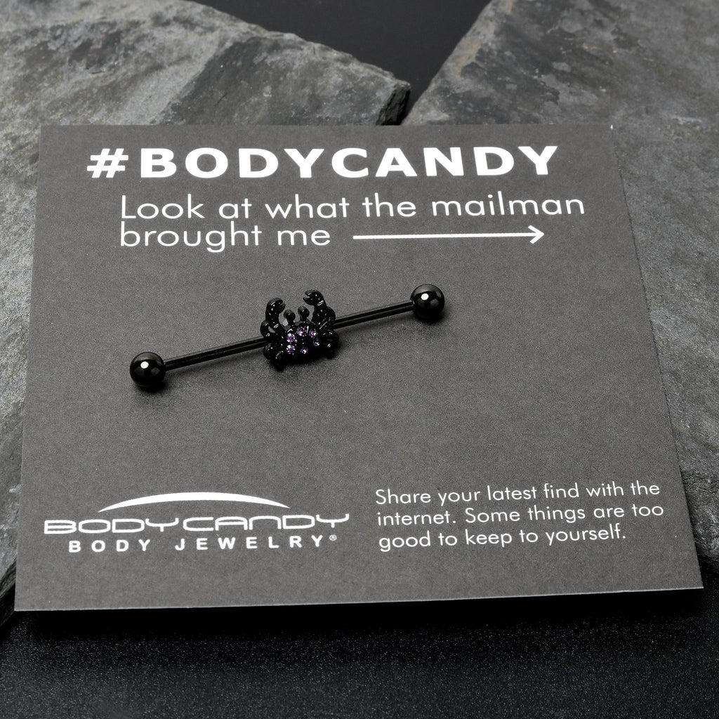 BodyCandy 14G Purple Gem Black Chic Crab Industrial Barbell 38mm — size reference