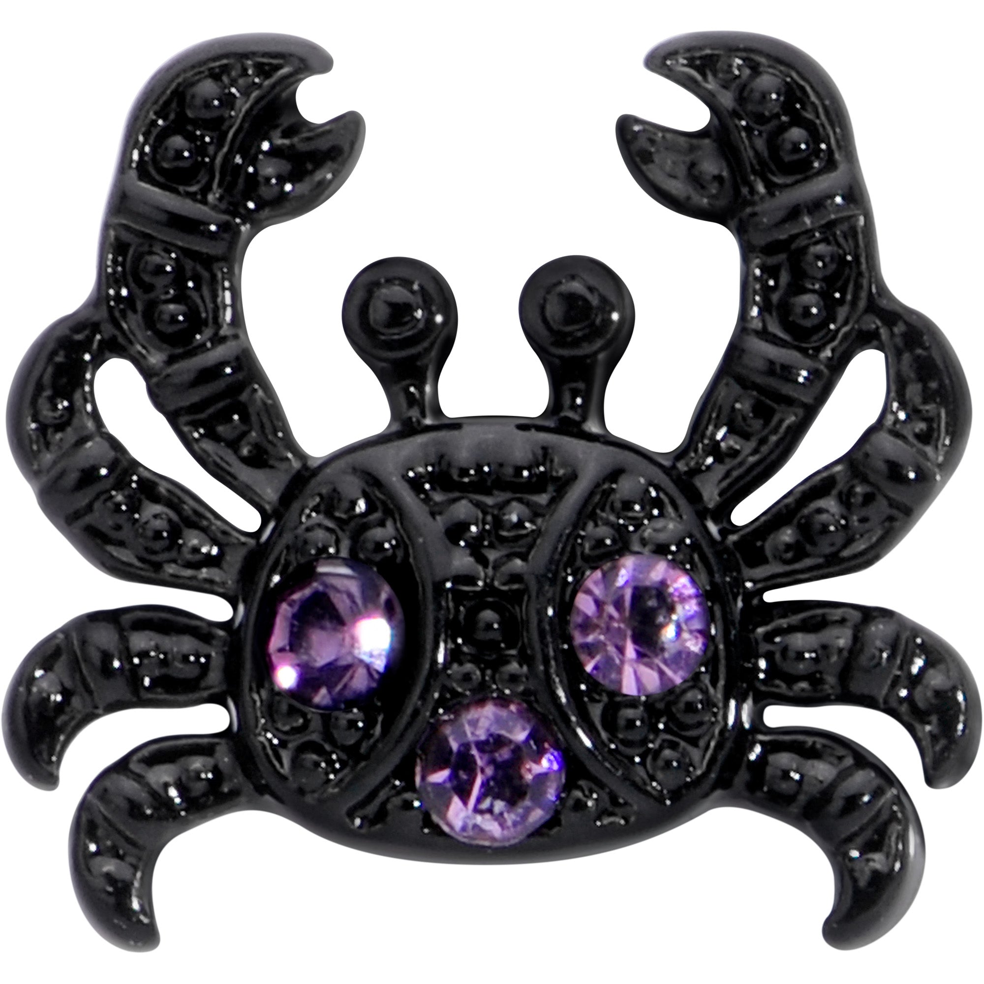 BodyCandy 16G 1/4 Purple Gem Black Chic Crab Labret — detail close-up