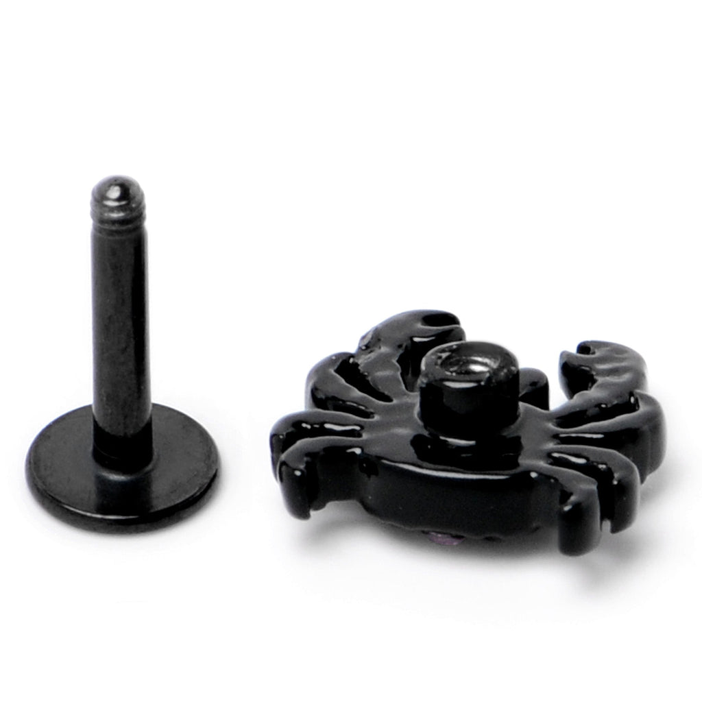 BodyCandy 16G 1/4 Purple Gem Black Chic Crab Labret — alternative angle