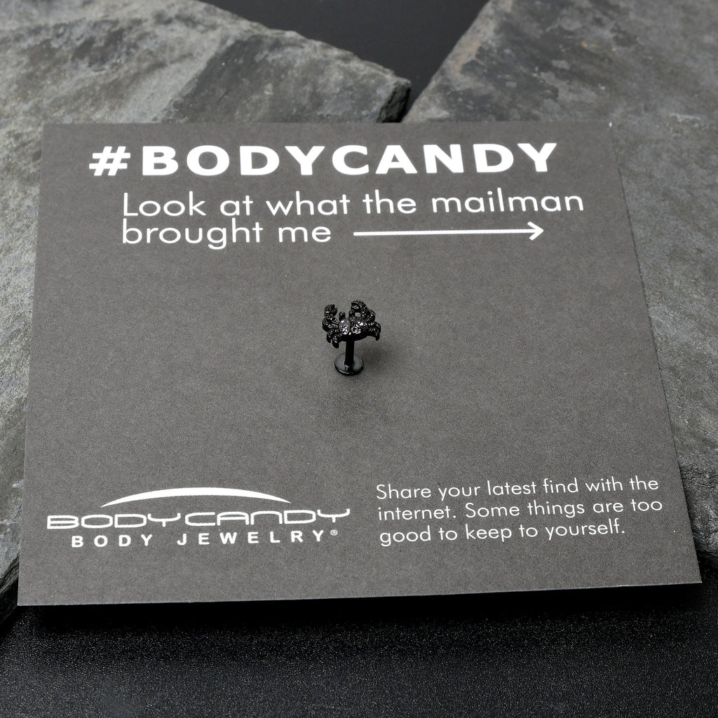 BodyCandy 16G 1/4 Purple Gem Black Chic Crab Labret — size reference