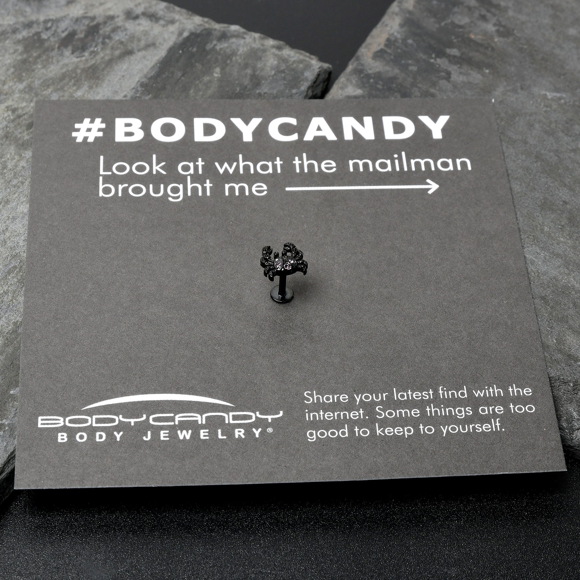 BodyCandy 16G 1/4 Purple Gem Black Chic Crab Labret — size reference