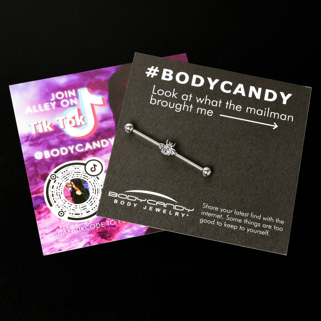 BodyCandy 14G Purple Gem Bee Beautiful Insect Industrial Barbell 38mm — size reference