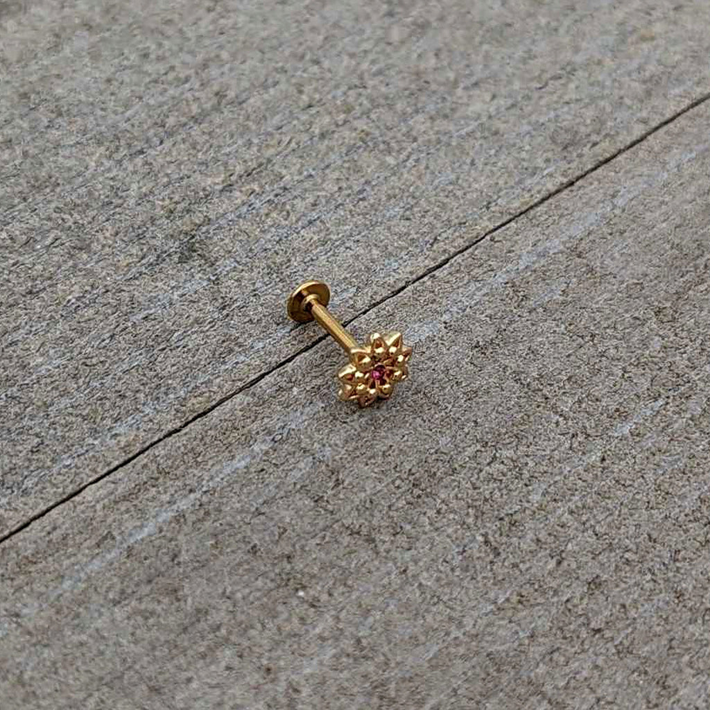 BodyCandy 16G 5/16 Pink Gem Gold Tone Starry Flower Labret Monroe Tragus — in-use photo