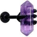 BodyCandy 16G 5/16 Purple Amethyst Black Claw Obelisk Labret Monroe Tragus — main product shot