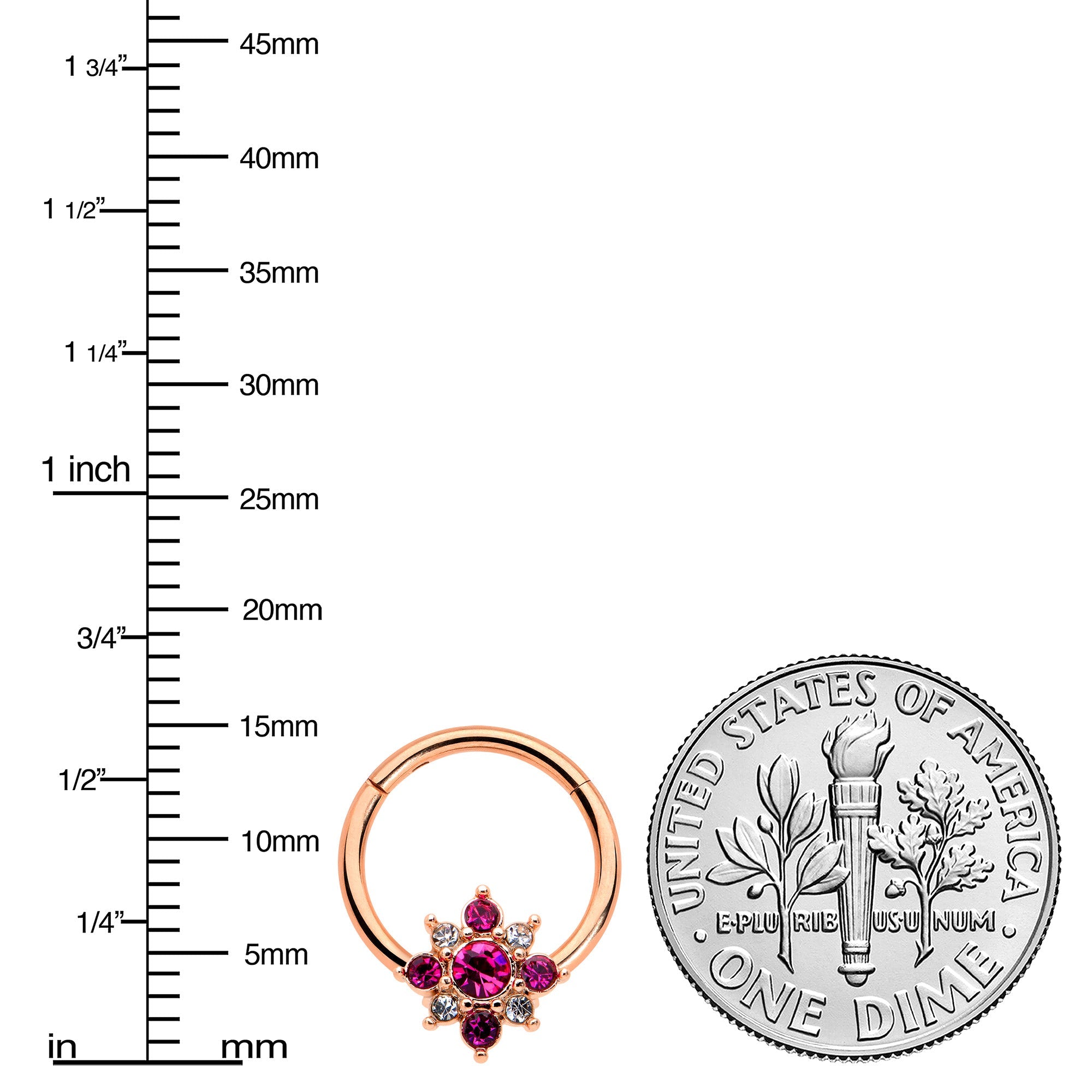 BodyCandy 16G 3/8 Pink Gem Rose Gold Tone Glamour Star Hinged Segment Ring — lifestyle context