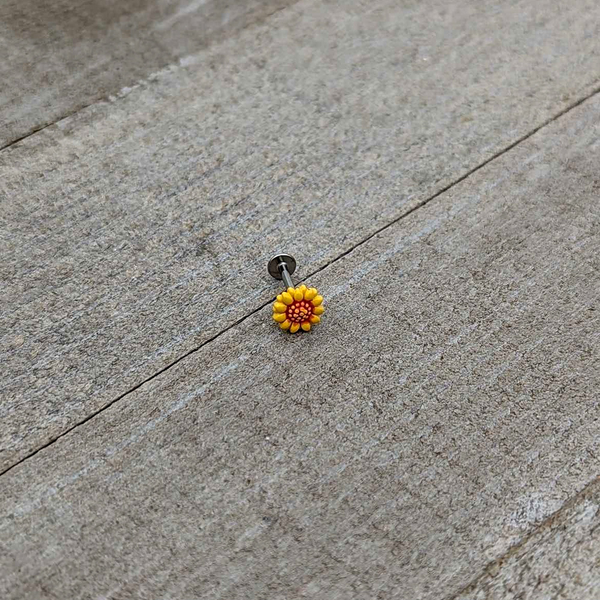 BodyCandy 16G 5/16 Happy Sunflower Yellow Labret Monroe Tragus — in-use photo