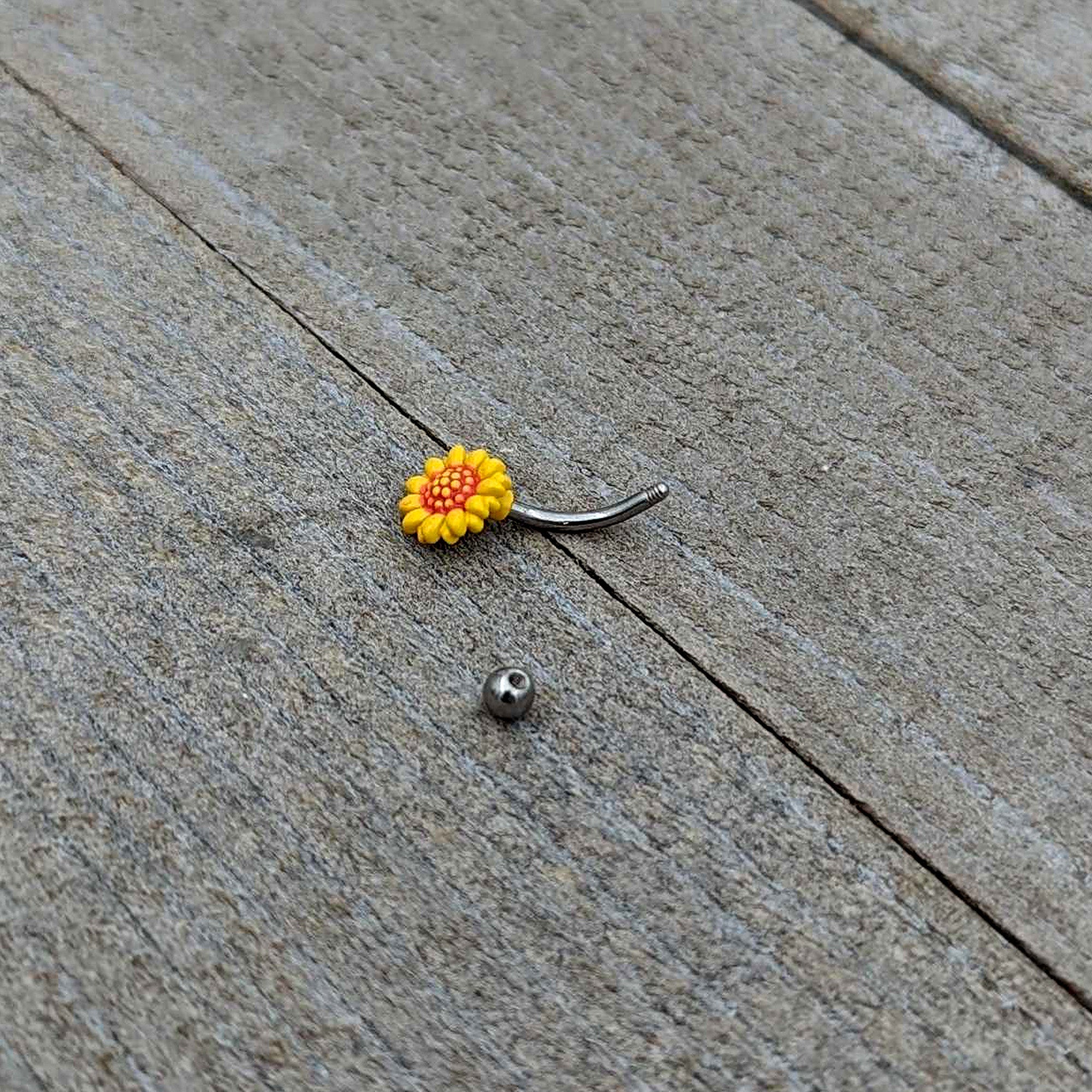 BodyCandy 16G 5/16 Happy Sunflower Yellow Curved Eyebrow Ring — in-use photo