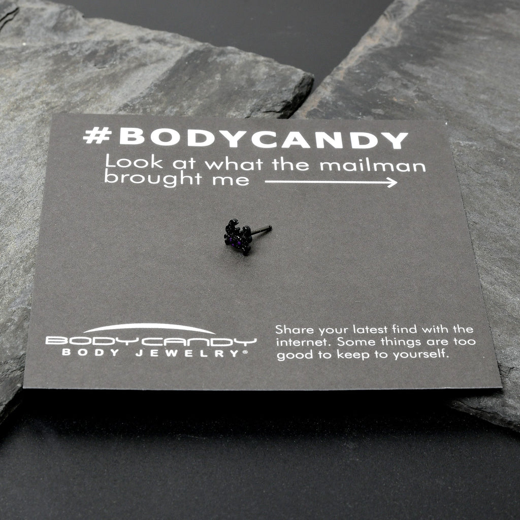 BodyCandy 20G 1/4 Purple Gem Black Chic Crab Nose Bone — size reference