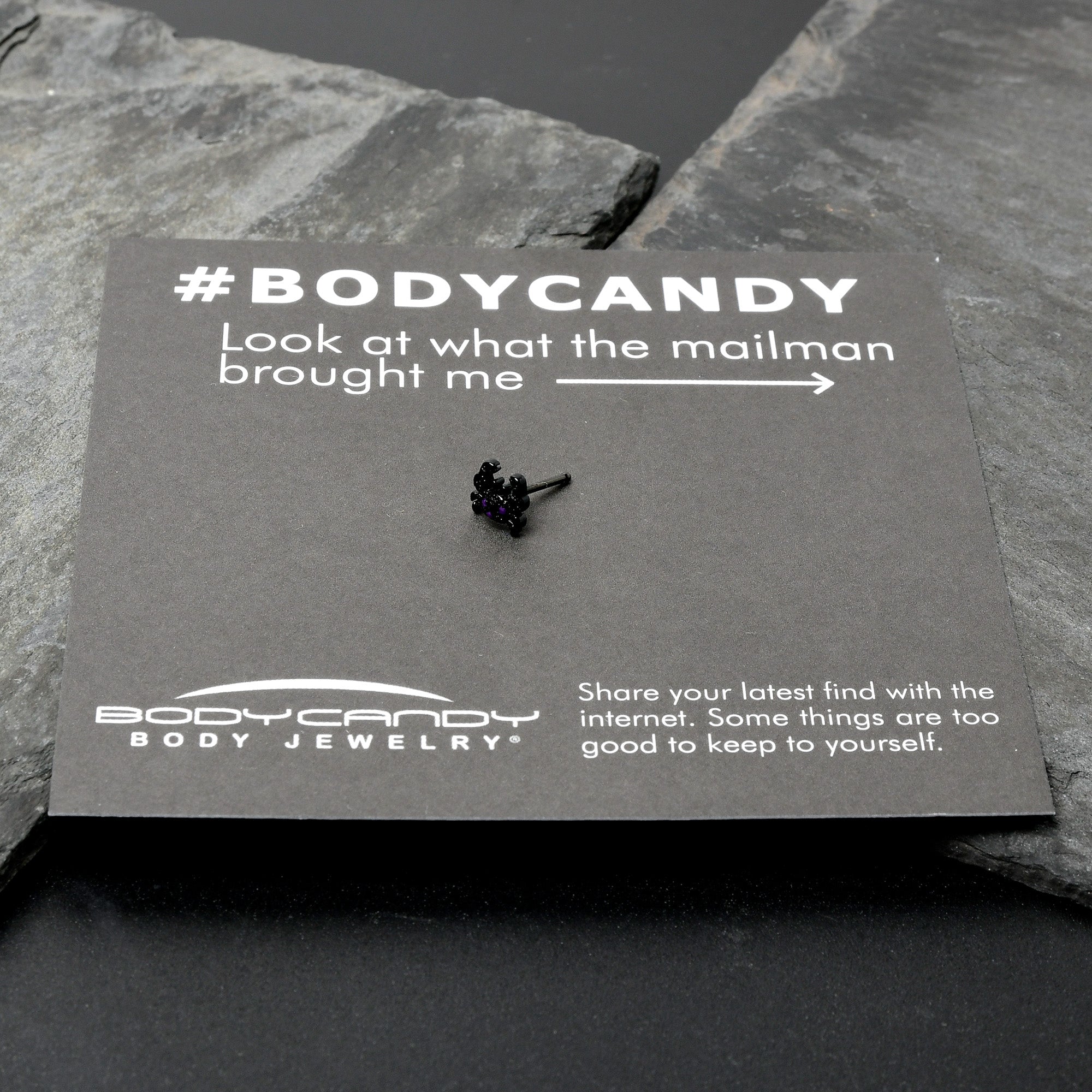 BodyCandy 20G 1/4 Purple Gem Black Chic Crab Nose Bone — size reference