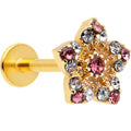 BodyCandy 16G 5/16 Pink Gem Gold Tone Texture Star Labret Monroe Tragus — main product shot