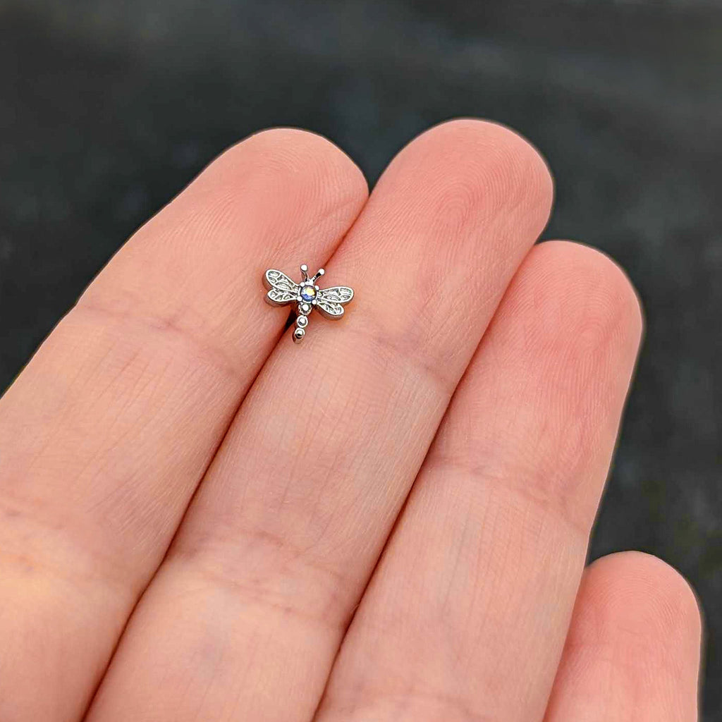 BodyCandy 16G 1/4 Aurora Gem Ornate Dragonfly Cartilage Tragus Earring — size reference